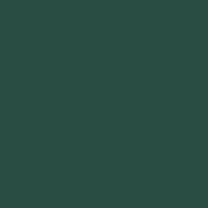 GAME COLOR - 72.027 - SCURVY GREEN