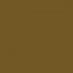 GAME COLOR - 72.043 - BEASTY BROWN