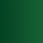 XPRESS COLOR - 72.416 - TROLL GREEN