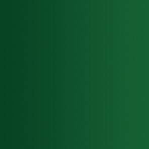 XPRESS COLOR - 72.416 - TROLL GREEN