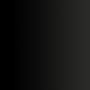 XPRESS COLOR - 72.423 - BLACK LOTUS