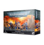 W40K - SPACE MARINES - BLADEGUARD VETERANS