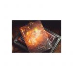 BICYCLE CARDS -  TAURUS